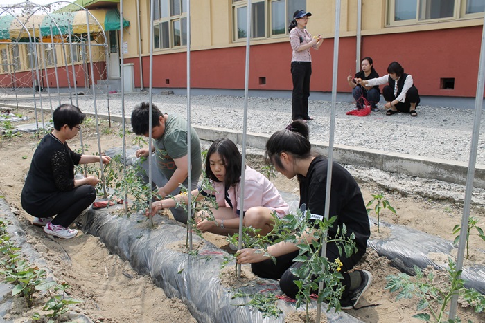 초록학교-지지대 (1).JPG